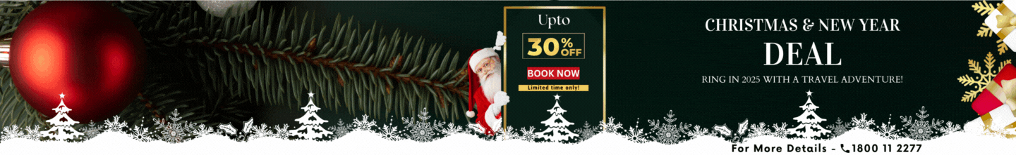 christmas Sale
