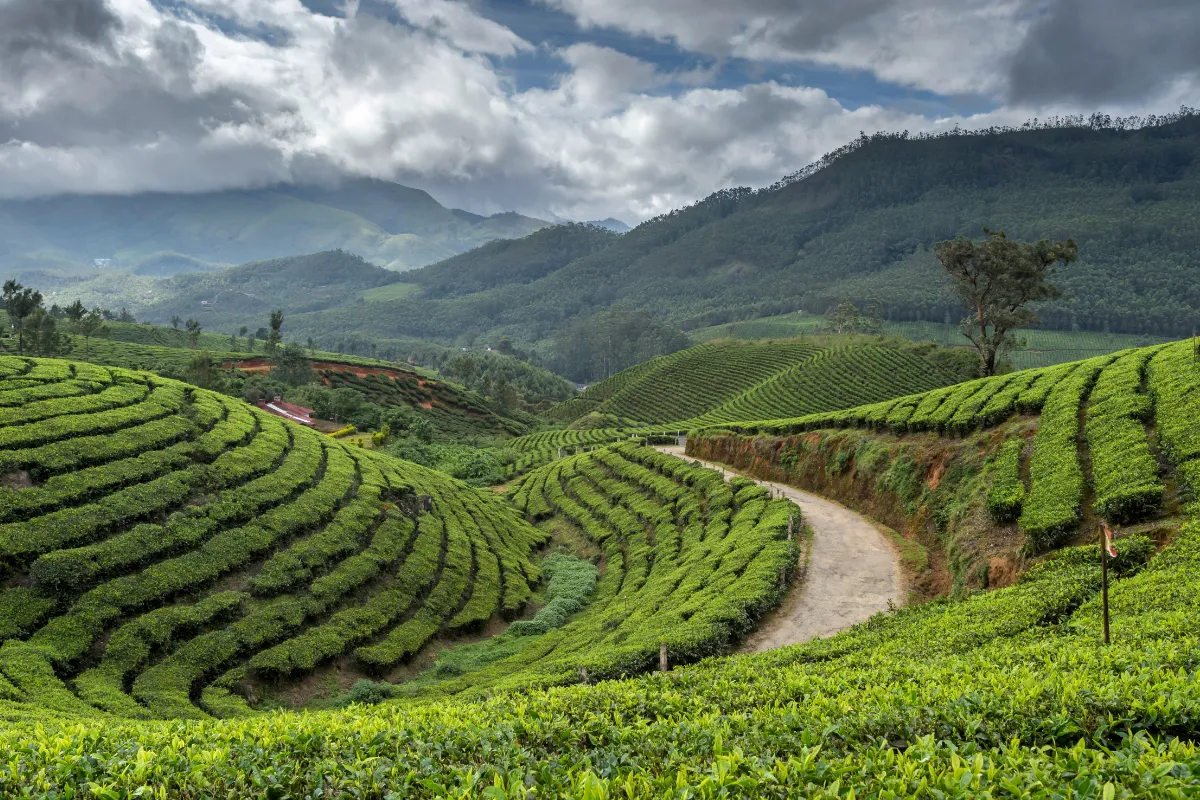 Munnar 