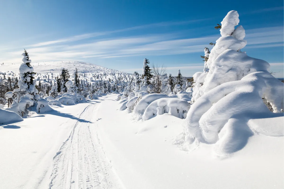 Lapland