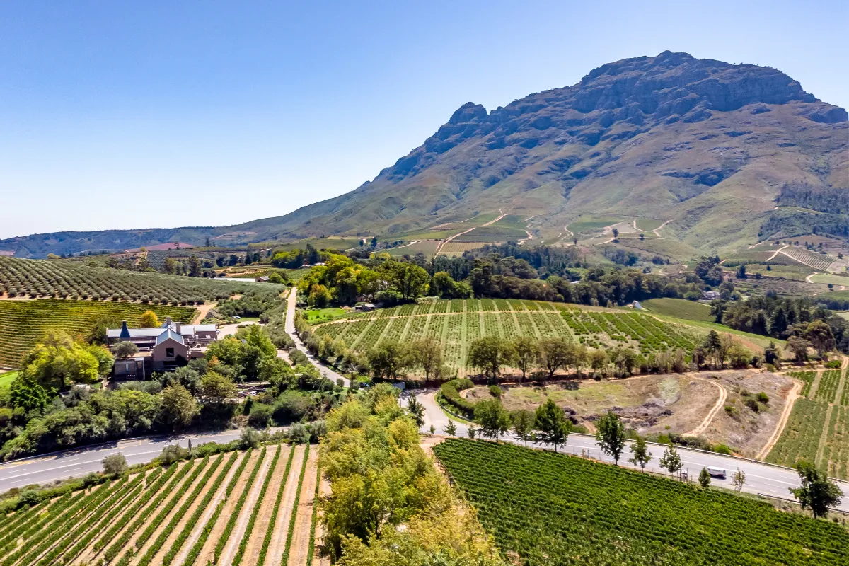  Stellenbosch 