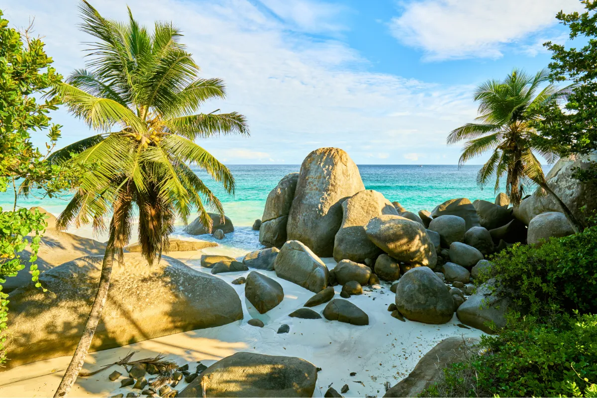 Captivating Seychelles