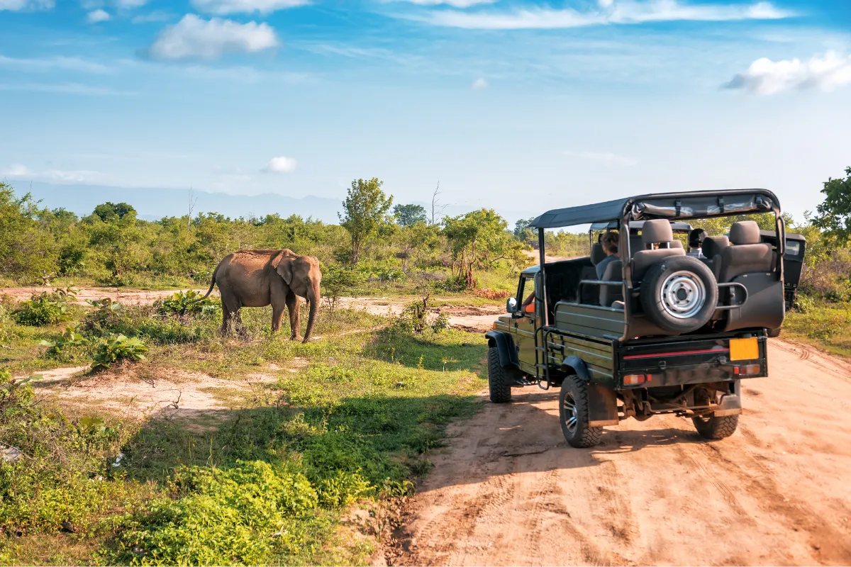 Sri Lanka - Safari & Beach Stay